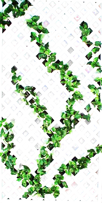 whitelatticewithgreen_yapfiles.ru