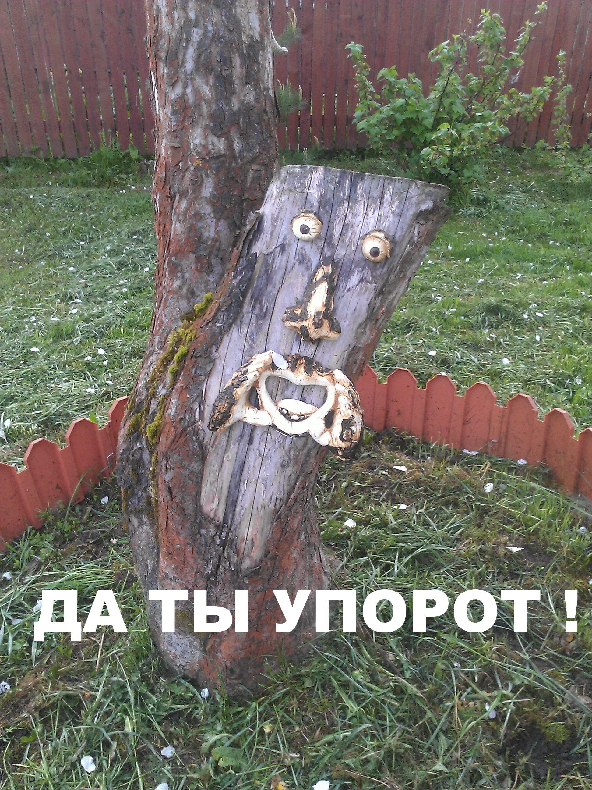 Да ты упорот