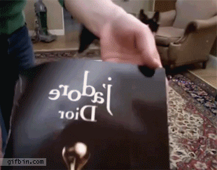 гифки-собака-журнал-пробник-700717