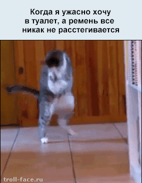 1361131474_173716621