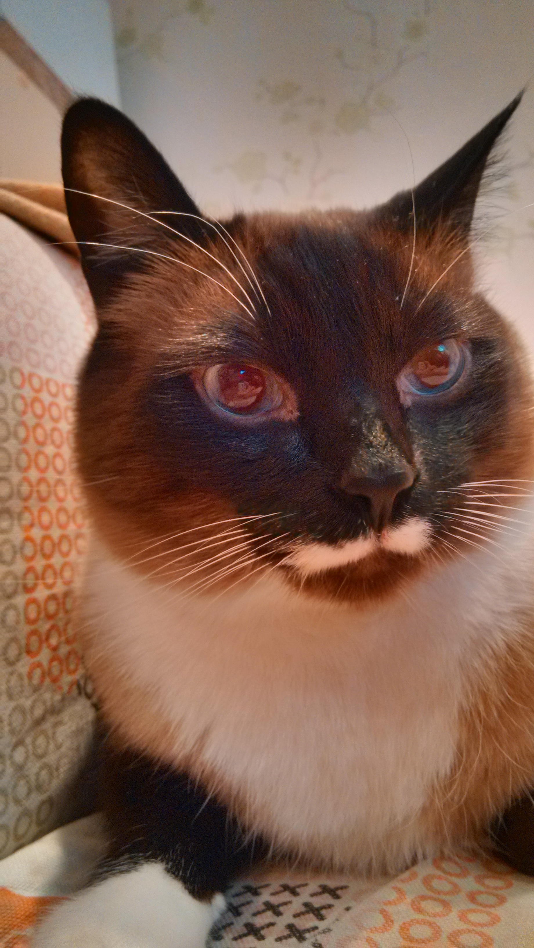 IMG_20130427_192924_HDR