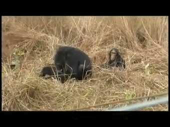 1369198004_1289347826