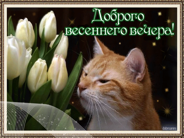 Добрый весенний вечер