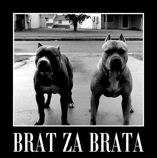 eTZbpSnmLZE