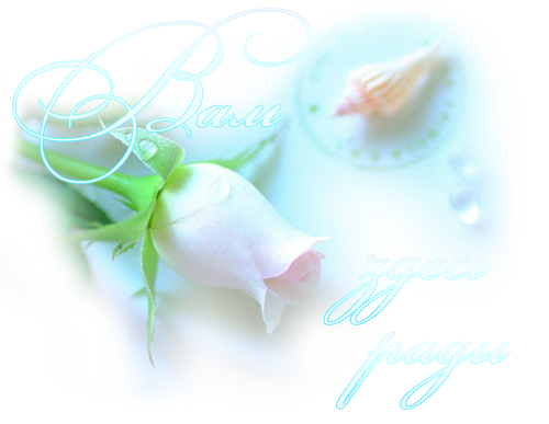 47709058_46438777_Izobrazhenie1ep