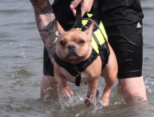 b1d062041c9810435831fd176aa