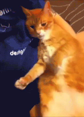 1369835030_1335102668