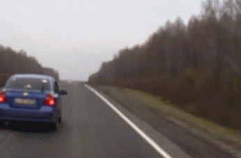 гифки-внезапно-медведь-713885