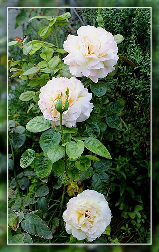 818209ceb7a62aa7741601db2e54fd99