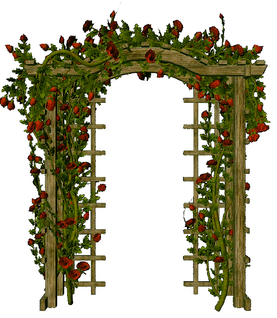 арка большая