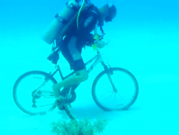 1366802414_1916298419