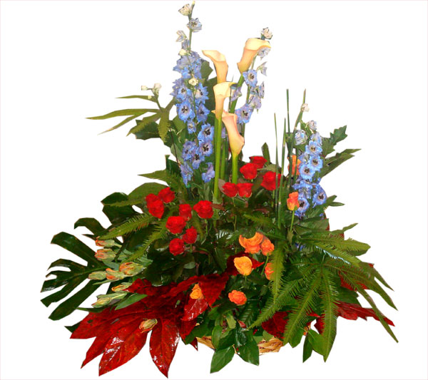 4c93e89f81eaf7b4b48bb37c2ebf2d2e