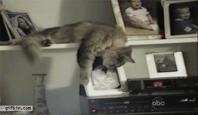 1370490749_659983667