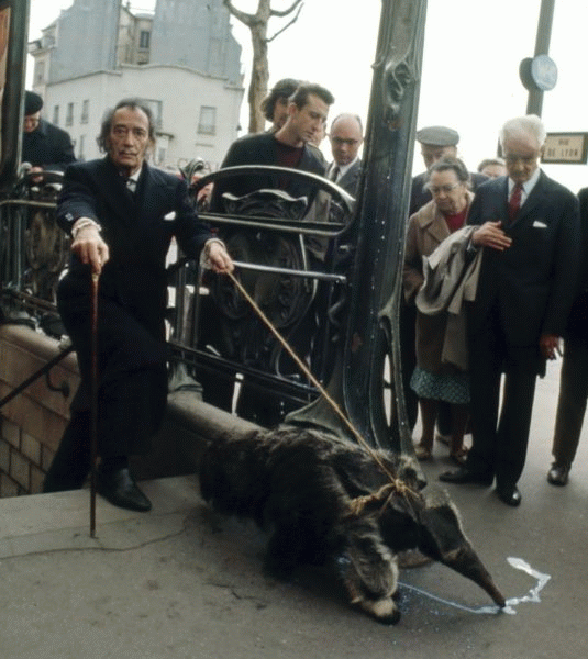 dali_anteater