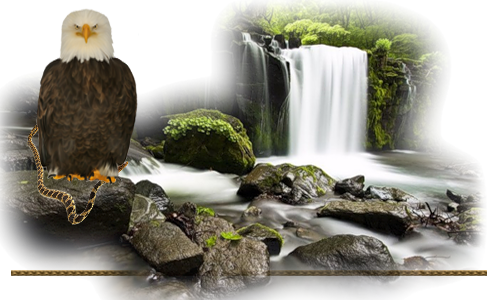 БЕЛОГОЛОВЫЙ-1