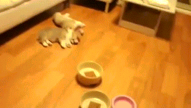 1371484894_1475447035