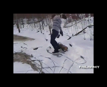 1371528375_1321820347