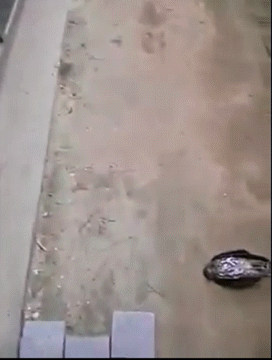 гифки-песочница-747065