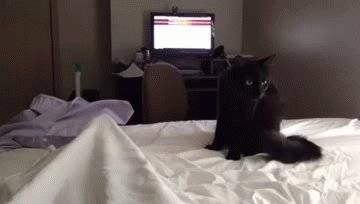 гифки-внезапно-песочница-753118