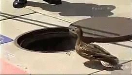 1371882215_1645783678