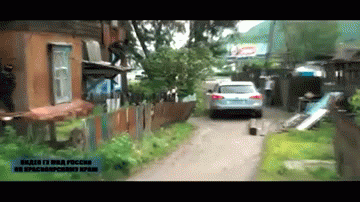 23ae9