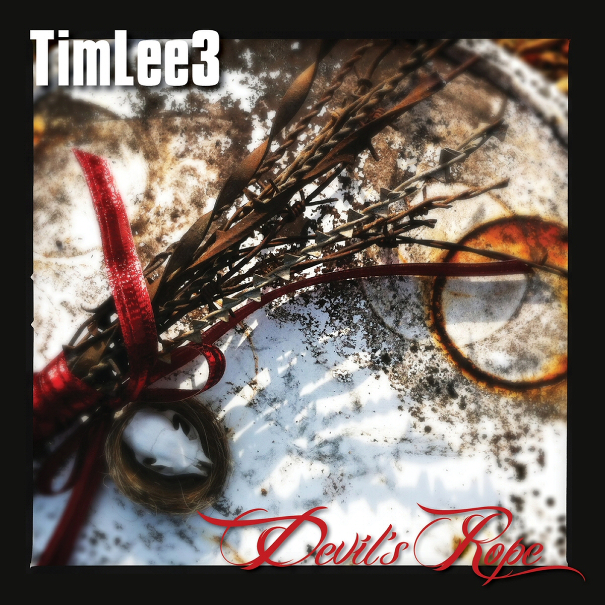 Tim Lee 3 - Devil s Rope (2013)
