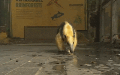 1371666567_1952601760