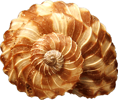 1358800155_klipart-24