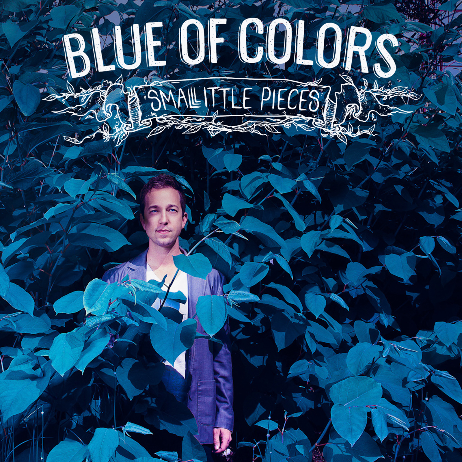 Blue Of Colors - Small Little Pieces (2013)