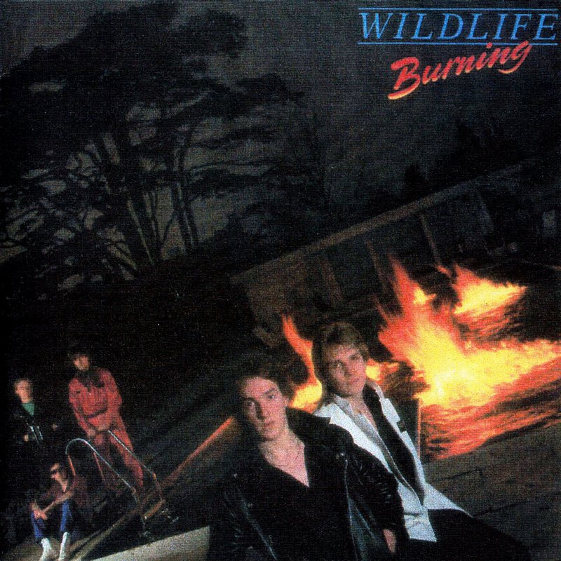 Front - Wildlife - Burning - 1980