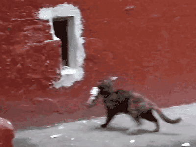 1372860974_1915344635