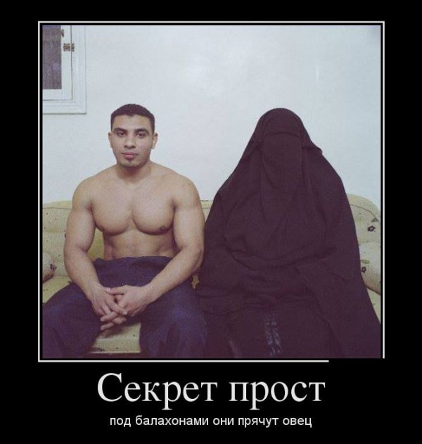 овцееб