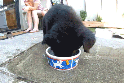 1373126698_290141199