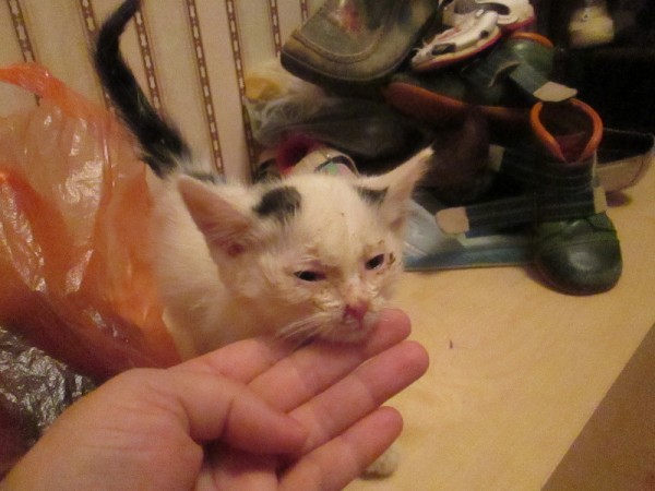 90793bb10c3e4e4256407cd488ec48aa