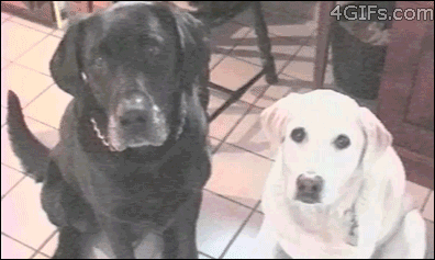 1373605934_430832944