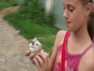 1373723978_472138801