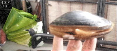 doc4584799_202180858