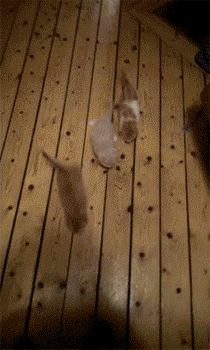 1374179355_567580258