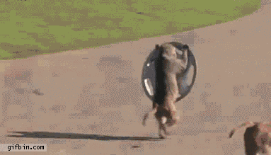 1375683718_1420964069