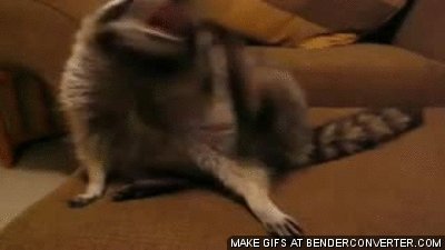 1369053396_612089290 (1)