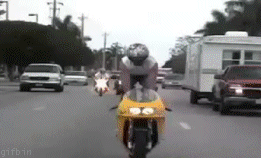 1377359550_avodxvw_460sa