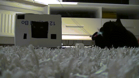 1377869973_2035137118