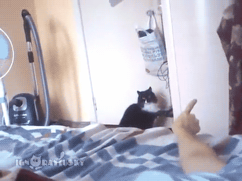 1378015128_1051159591