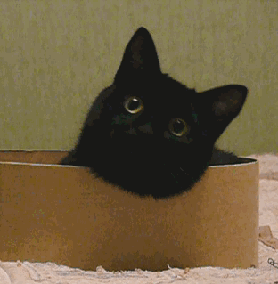 Круговорот