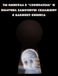 cat8