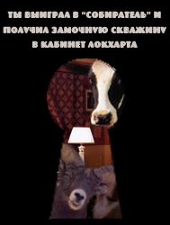 cat8