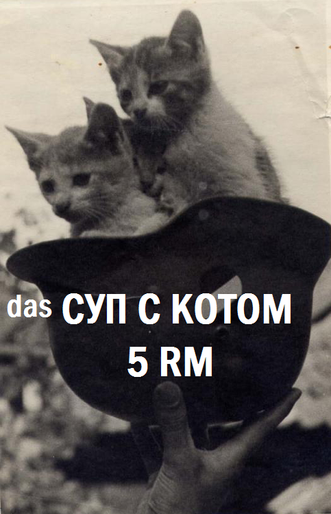 Суп с котом