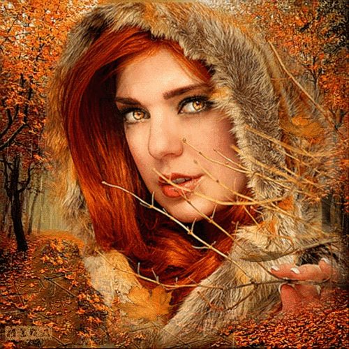 АНИМ-МИГА (458)