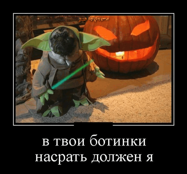 2b8e33a059d2cd08589acff8f06c0dc1_b