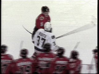 1720animated_gif_hockey_idiot_1-s320x240-48813